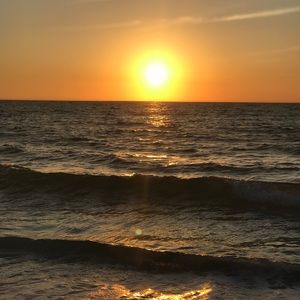 Meet your Posher, Lucy